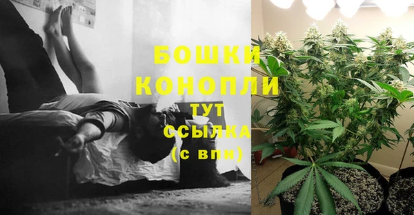 кокаин колумбия Белокуриха