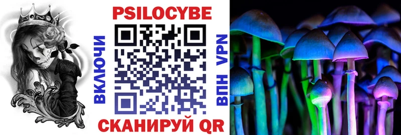 Галлюциногенные грибы Psilocybe  наркотики  Светлогорск 